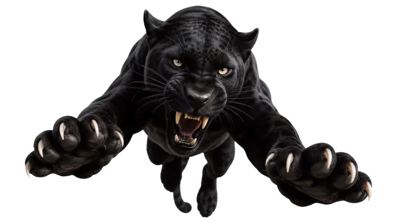 Arte della Pantera Nera in Agguato Ferocious