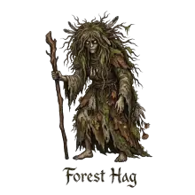 Forest Hag Dark Fantasy Hoodie
